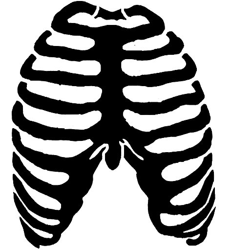 Skeleton Template - ClipArt Best