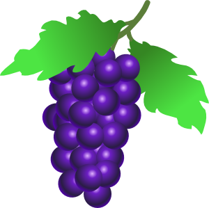 Grape Vine Drawing - ClipArt Best