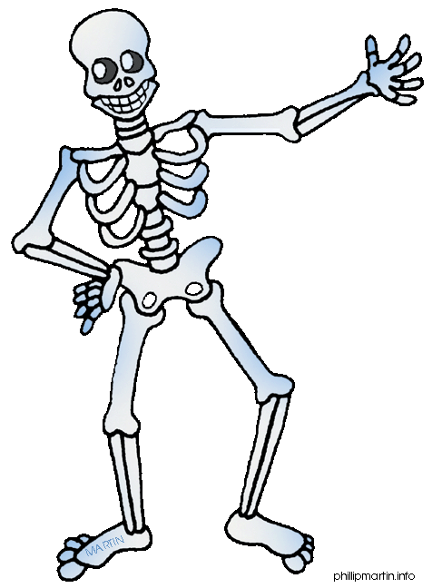 Skeleton bones clipart