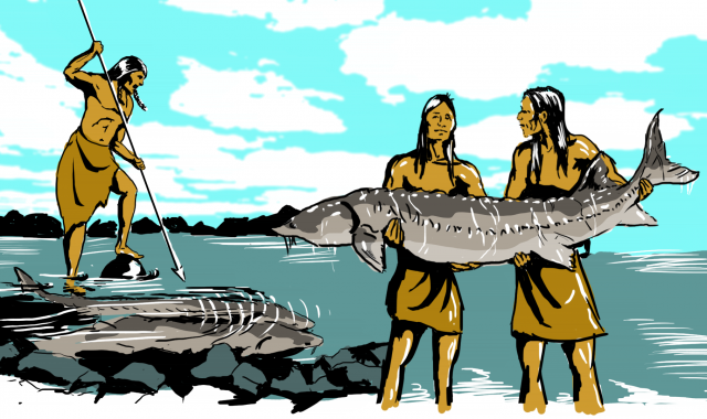 Native American Relationship with Sturgeon | Into The Outdoors