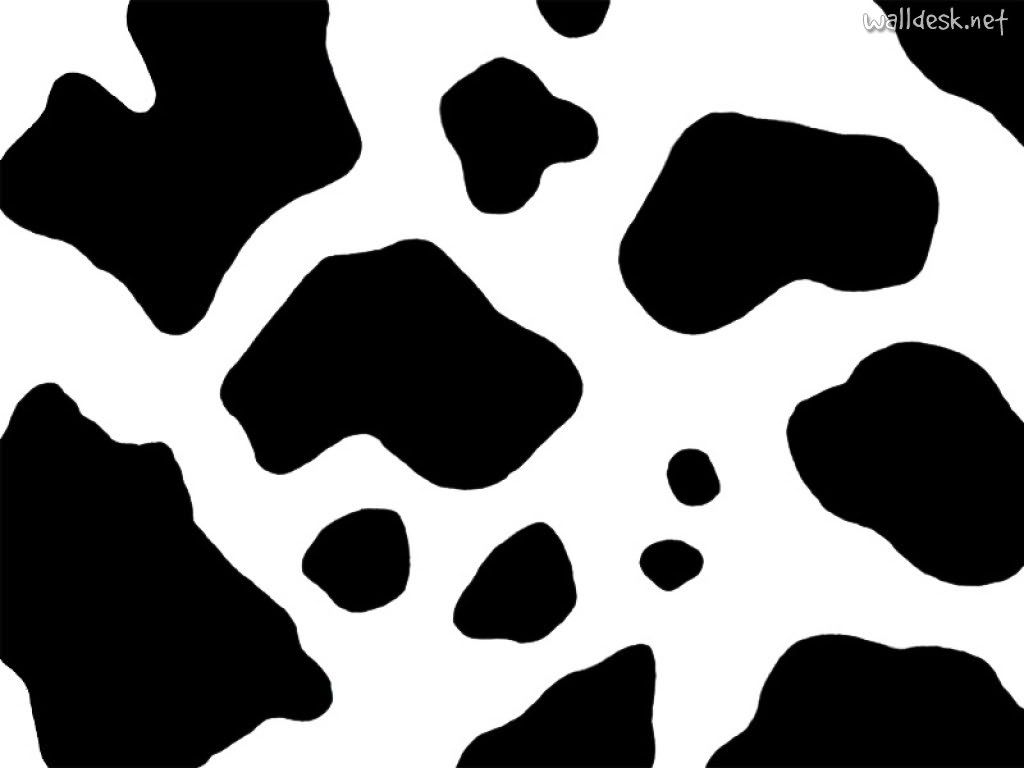 Cow Backgrounds