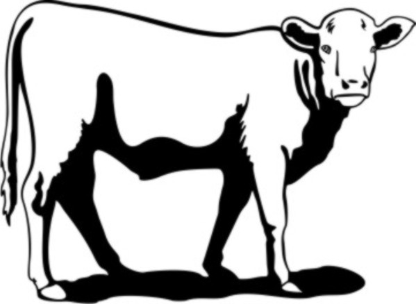 Cow [DTWR01] - $4.00 : Custom Vinyl Stickers Decals, for Cars