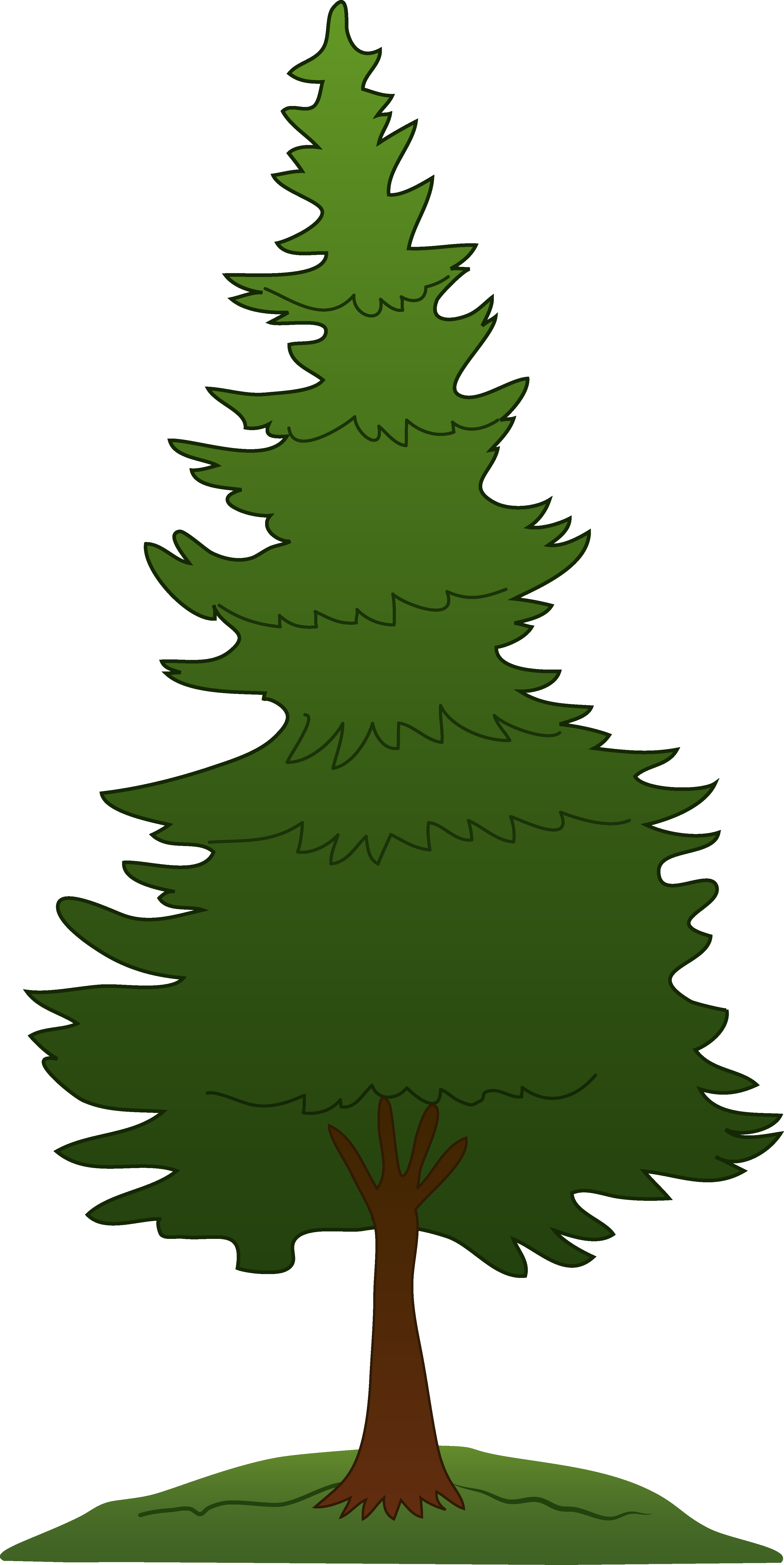 Pine tree background clipart