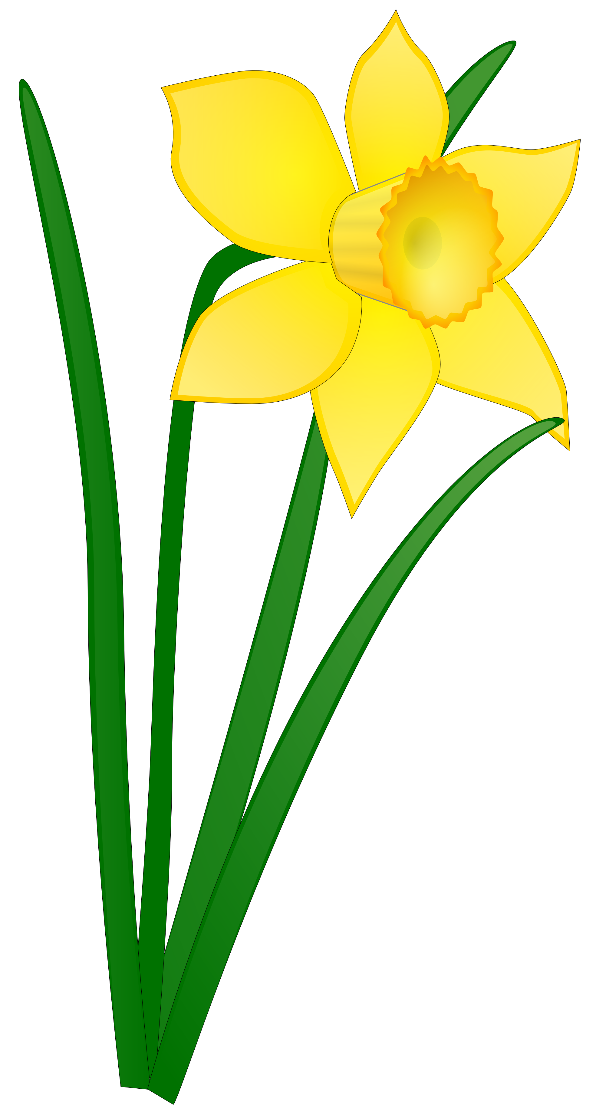 Daffodil Flower Clip Art - Free Clipart Images