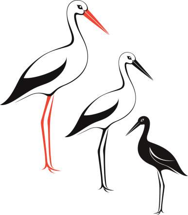 White Stork Clip Art, Vector Images & Illustrations