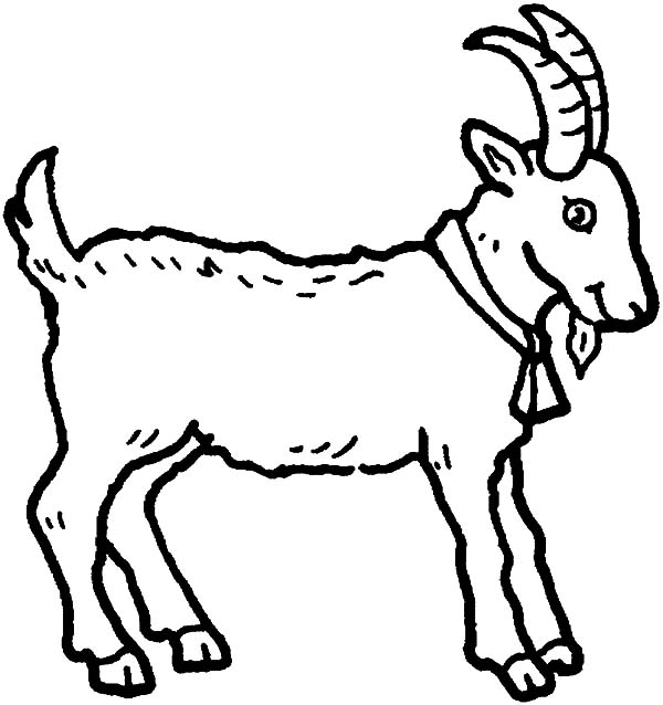 Young Goat Coloring Pages | Color Luna