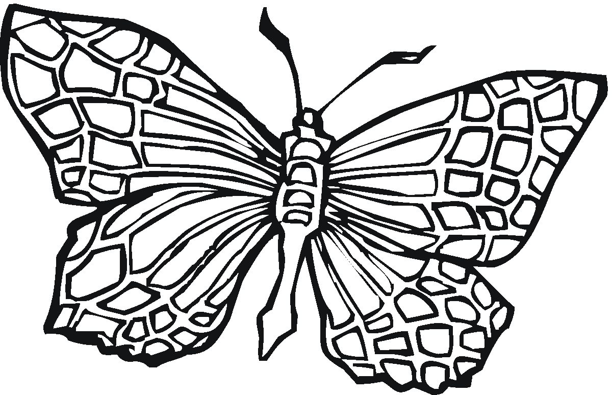 color1 butterfly coloring pages | Printable Coloring