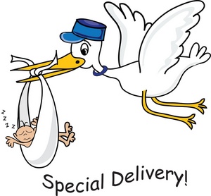 Stork Clipart Image - "Special Delivery" cartoon showing a stork ...