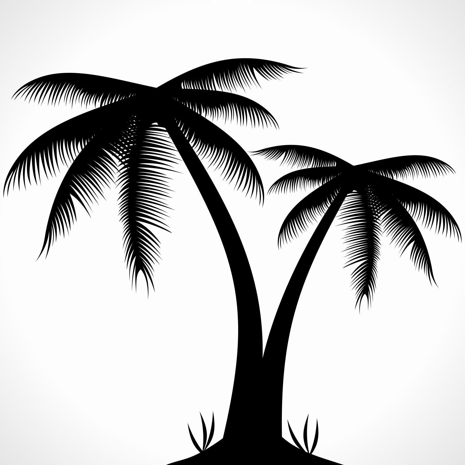 palm tree illustration free download