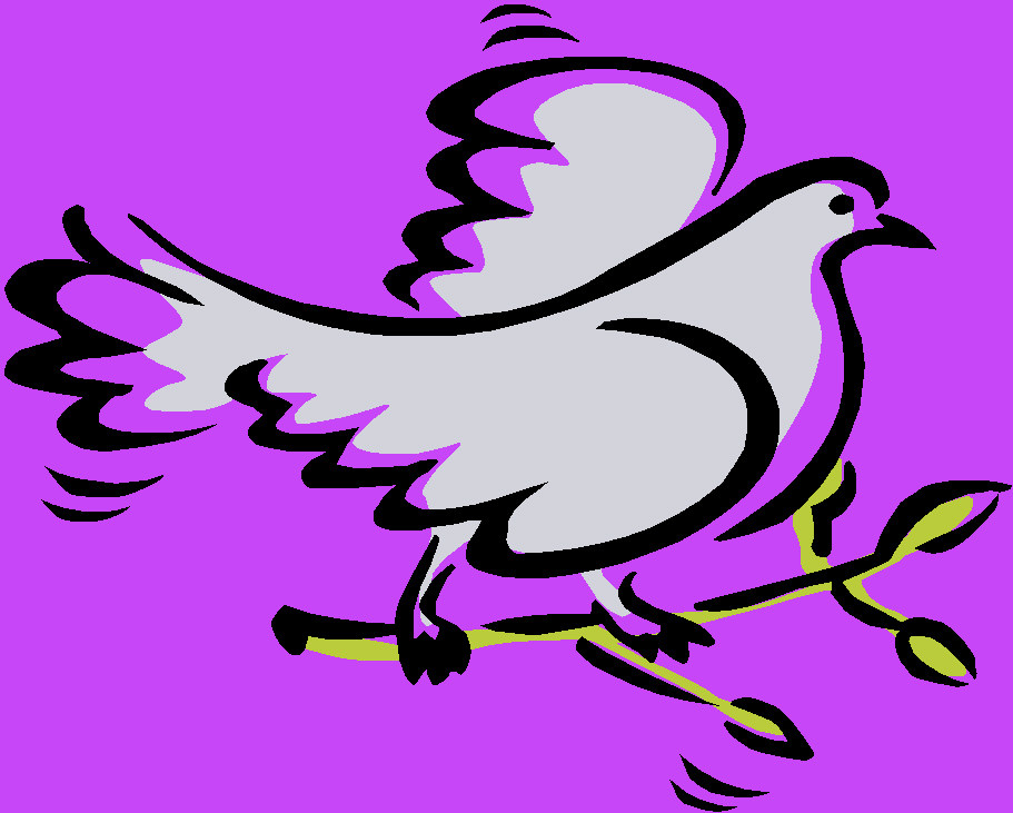 Pigeon Clipart - Quoteko.