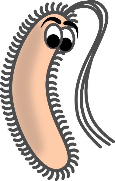 Funny Bacteria Clip Art - vector clip art online ...