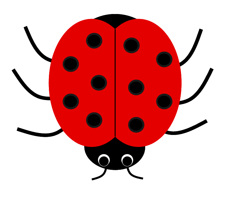 cute ladybug images