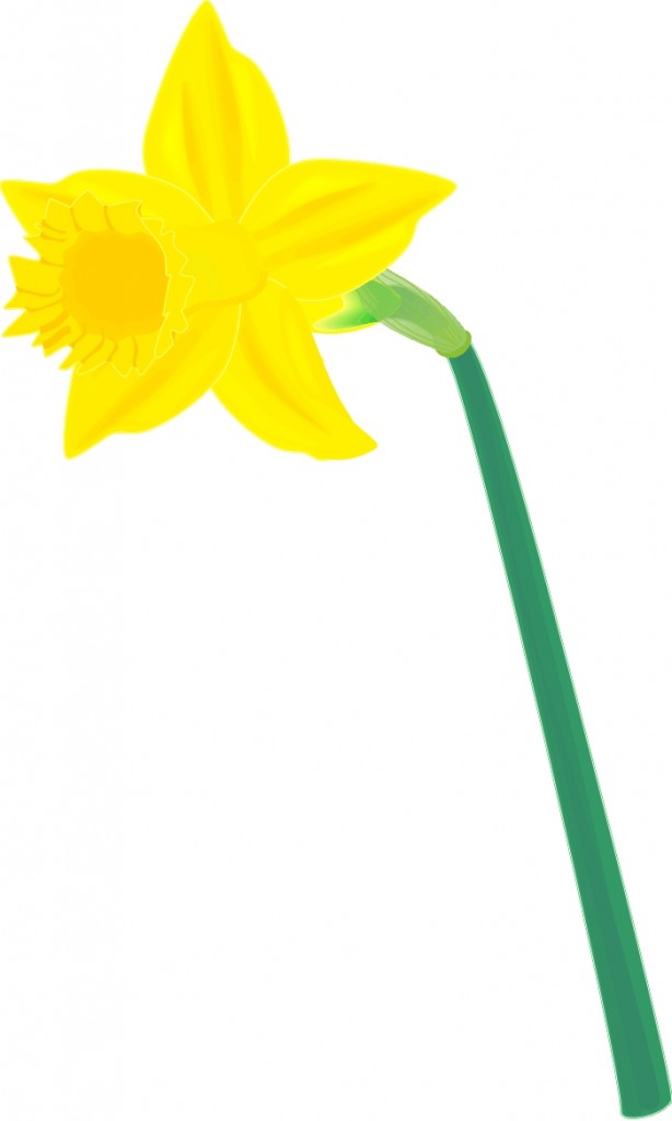 Daffodil Clip Art Free