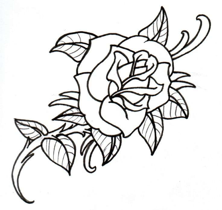 rose vine drawing designs