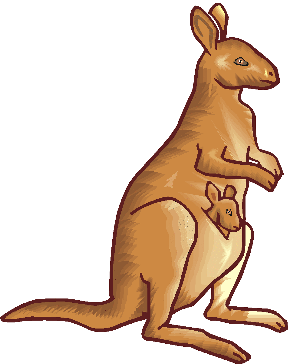 Kangaroo Clipart