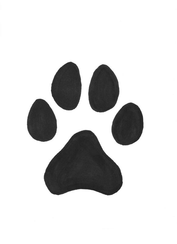 Pix For > Wolf Paw Prints