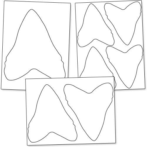 Shark Tooth Coloring Page - ClipArt Best