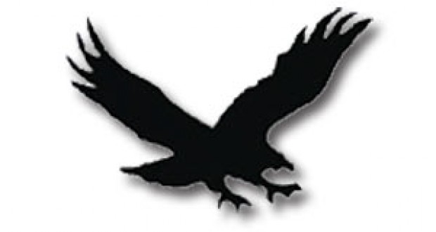 Hawks clip art - Free Clipart Images