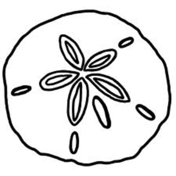 Clipart Sand Dollar - Free Clipart Images