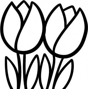 Flowers - How to Draw Tullips for Kids