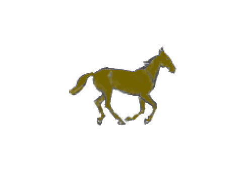 Horse Animation on Scratch