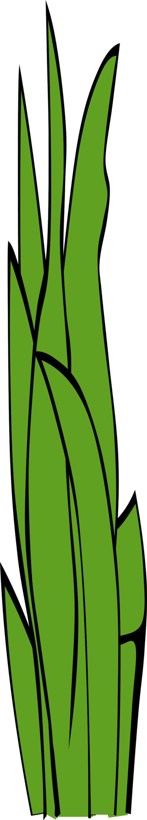 Blade Of Grass Clipart - ClipArt Best