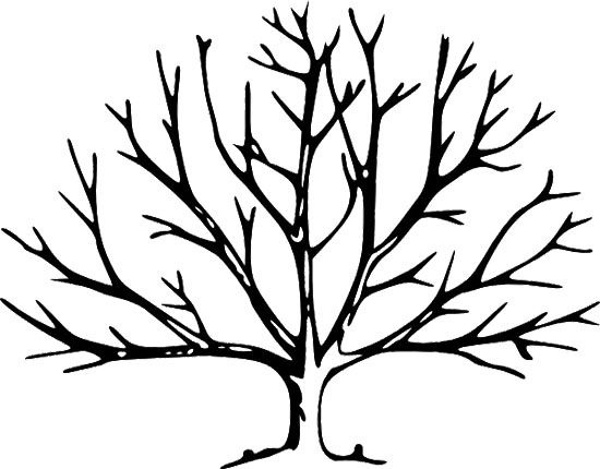 Bare Tree Coloring Page - Free Clipart Images
