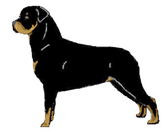 Rottweiler Clipart