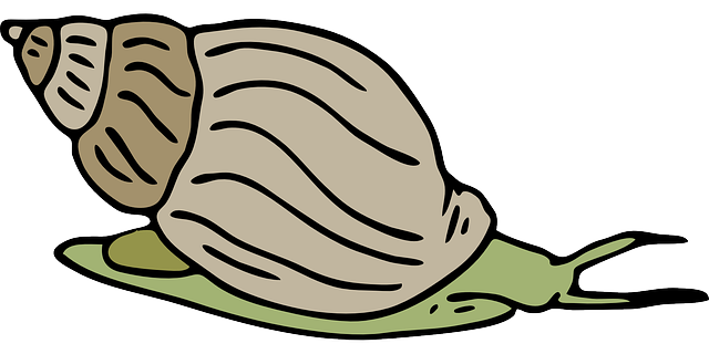 Clip Art Cartoon Snail Clipart