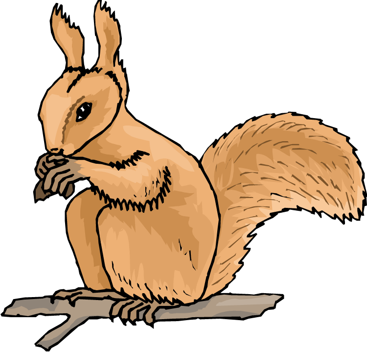 58 Free Squirrel Clipart - Cliparting.com