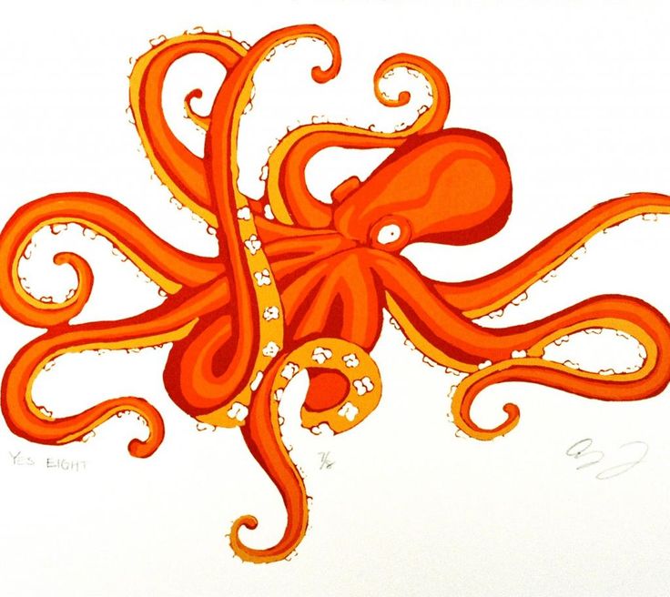 1000+ images about Octopus Obsession | The octopus ...