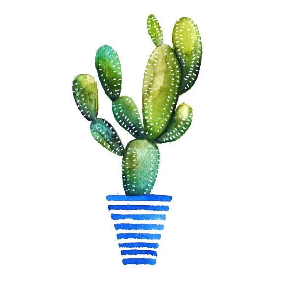 Cactus Drawing | Cactus ...