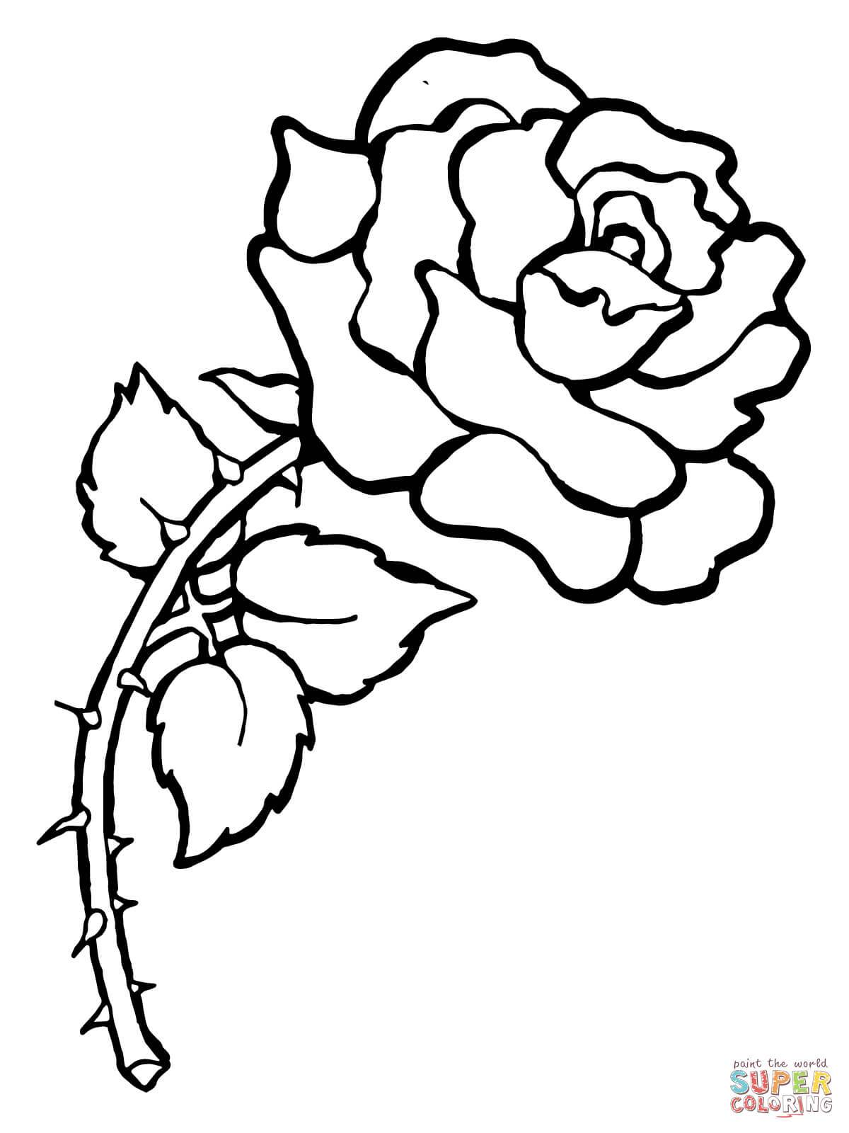 Rose Color Pages. top 25 free printable beautiful rose coloring ...