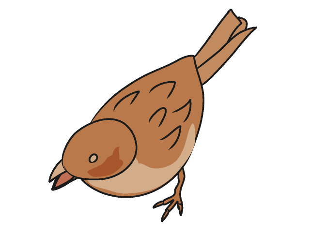 Sparrow Clipart | Free Download Clip Art | Free Clip Art | on ...