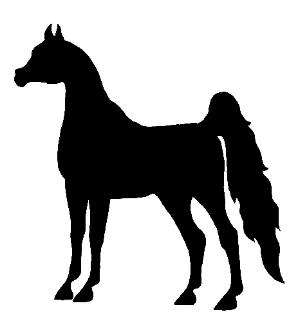 Horse Pictures Drawings - ClipArt Best