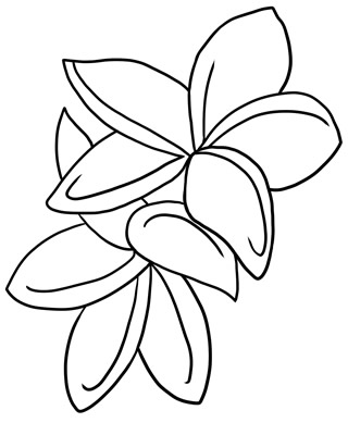 metsoidregmu: flower line clip art