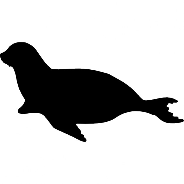 Sea Lion Vectors, Photos and PSD files | Free Download