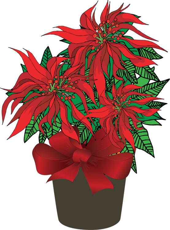 Poinsettia Clipart