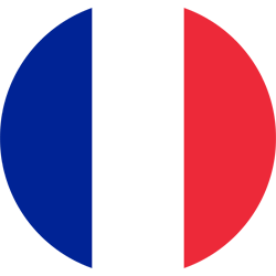 France flag vector - country flags