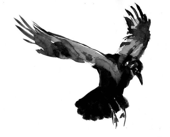 Crows, Art and Drawings