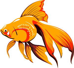 Animated fish clipart