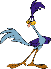 1000+ images about Roadrunner