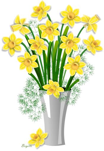 Daffodils clipart