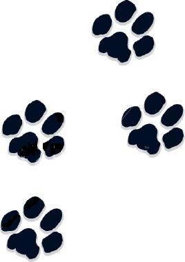 Puppy paw print clip art