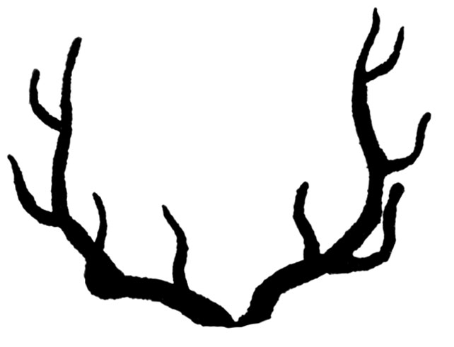 Deer antler clip art free