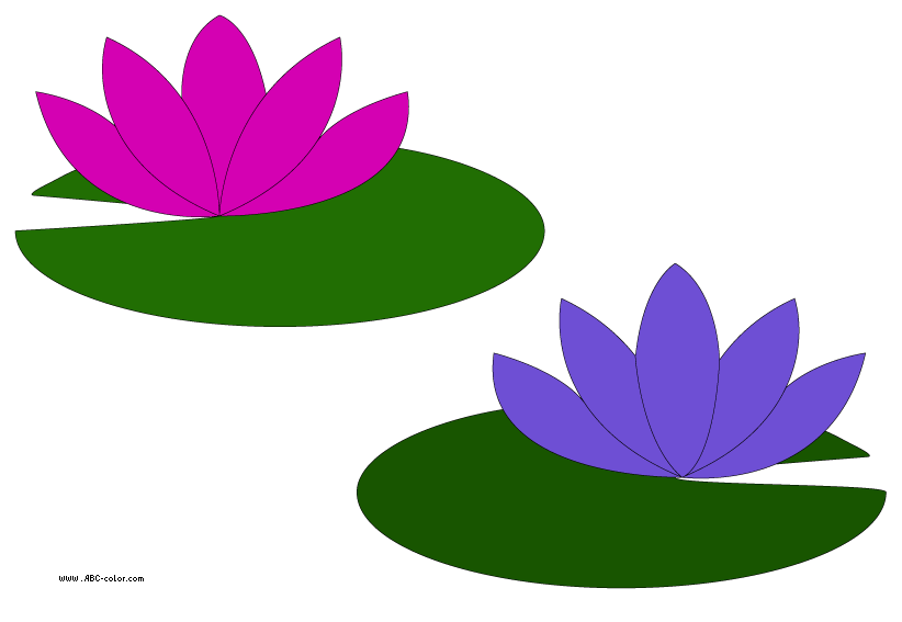 Water Lily Clipart | Free Download Clip Art | Free Clip Art | on ...