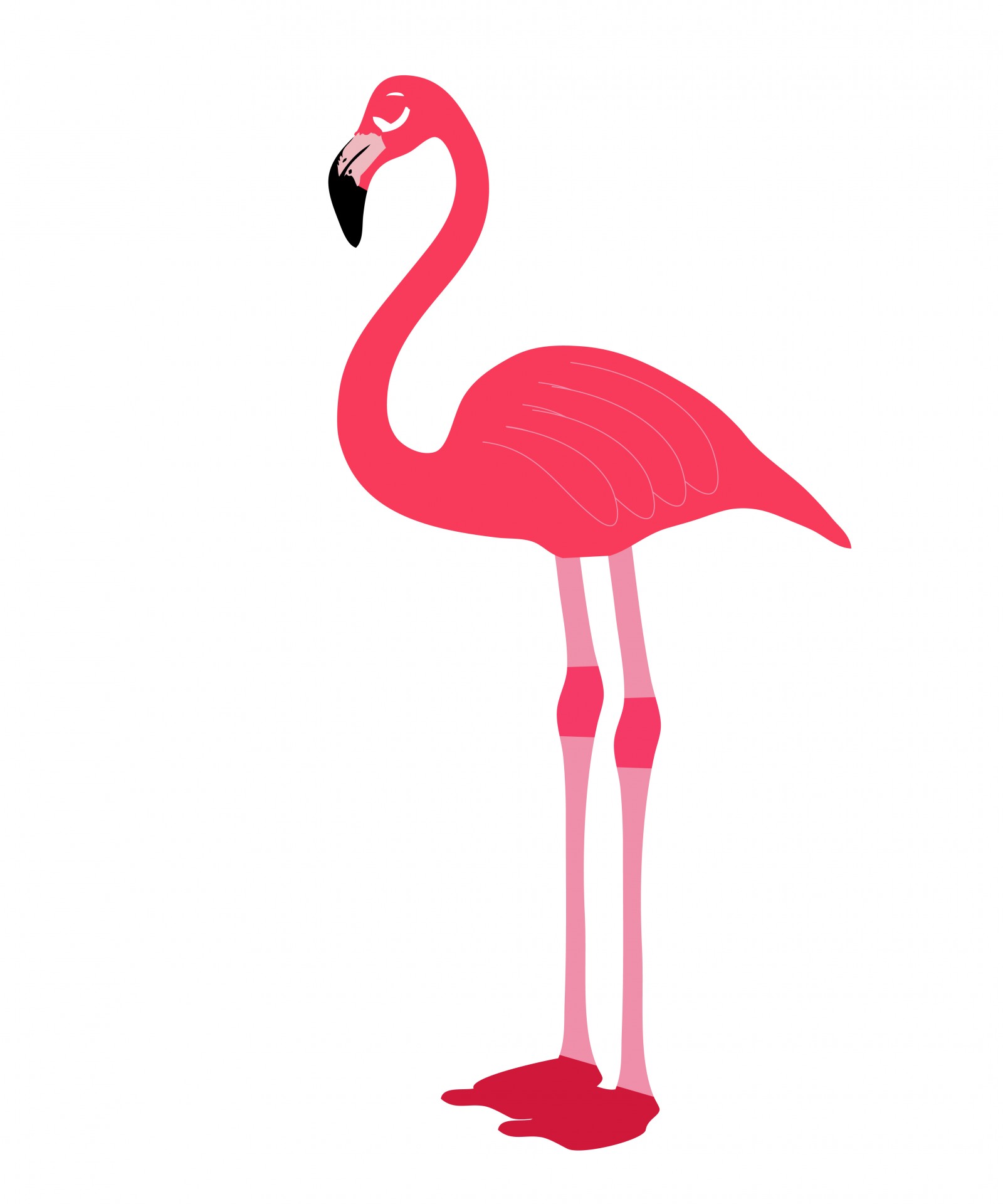 Pink flamingo clip art