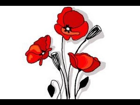 How to draw a Poppy - YouTube