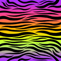 colorful zebra print desktop wallpaper - www.