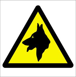 WS009 - BEWARE OF THE DOG sign